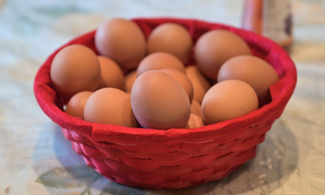 Αβγά: Παράνομες ελληνοποιήσεις καταγγέλλουν οι έμποροι - Τι πρέπει να προσέχουν οι καταναλωτές