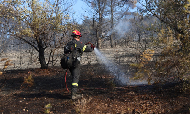 Πυροπροστασία: 50 εκατ. ευρώ για το 2026 από το υπ. Εσωτερικών στους δήμους