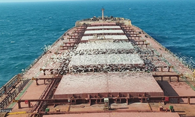 Περσικός: Ελληνικό φορτηγό «καταφύγιο» για χιλιάδες γλάρους – Πώς αντιλαμβάνονται τα εχθρικά drones