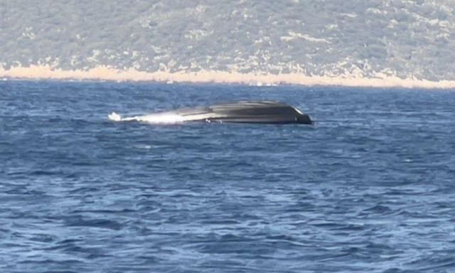 Κικίλιας για τη βύθιση σκάφους Frontex στο Καστελόριζο: Αμέλεια ή αβλεψία του κυβερνήτη το ατύχημα