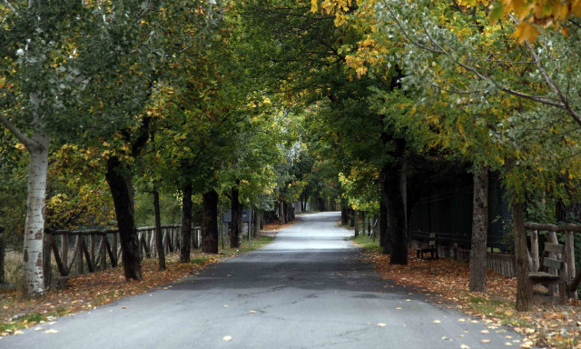 Χαλάρωση με θέα το Μαίναλο: Η γαλήνη της Βυτίνας σε πρώτο πλάνο