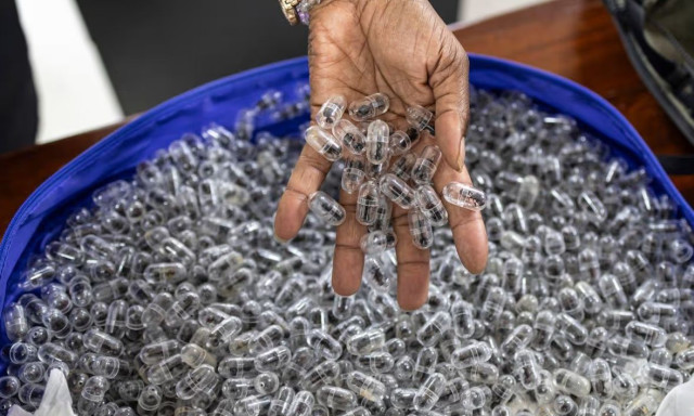 Κένυα: Συνελήφθησαν άνδρες σε πτήση που προσπάθησαν να περάσουν λαθραία... μυρμήγκια!