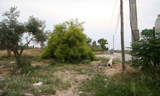 Ακαθάριστα οικόπεδα: Αντίστροφη μέτρηση για τις δηλώσεις - Τσουχτερά τα πρόστιμα για τους αμελείς