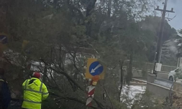 ΒΟΑΚ: Έντονη βροχή και πτώση δέντρου – Άμεση επέμβαση στον Καβρό