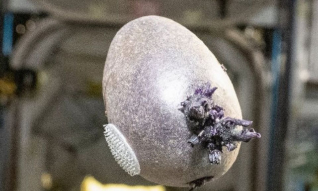 Διεθνής Διαστημικός Σταθμός: Μυστηριώδες αντικείμενο με πλοκάμια προκάλεσε πανικό