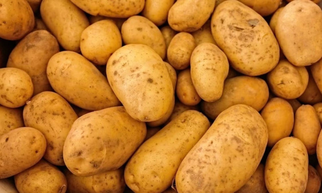 Εταιρεία χαρίζει πατάτες που δεν μπορεί να πουλήσει: «Η ιδέα να τις πετάξουμε είναι δύσκολη»