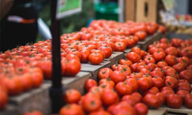 «Φωτιά» στις τιμές των οπωροκηπευτικών και των φρούτων - Ντομάτα από… χρυσάφι