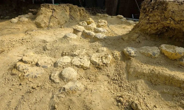 Θαμμένα για 70 εκατομμύρια χρόνια - Εκατοντάδες αυγά δεινοσαύρων διαφόρων ειδών σε έναν αρχαίο χώρο