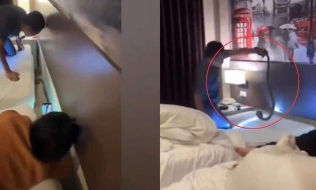 Ταϊλάνδη: Τουρίστας ξύπνησε με μία… κόμπρα στον λαιμό του – «Ο χειρότερος εφιάλτης κάθε ταξιδιώτη»