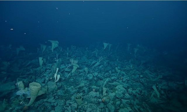 Ένα εκατομμύριο γιγάντια αυγά καλύπτουν ενεργό υποθαλάσσιο ηφαίστειο στον Ειρηνικό