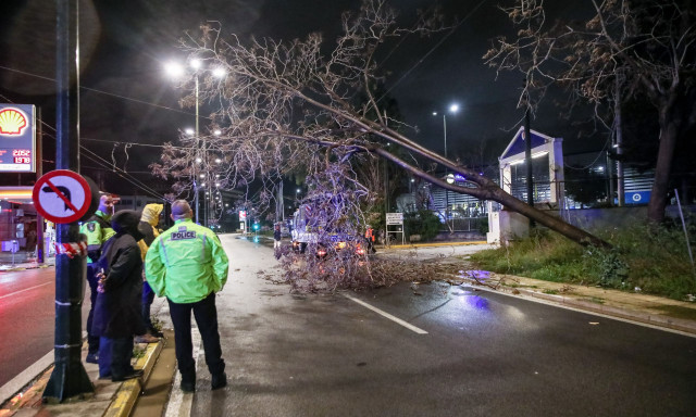 Πτώση δέντρου στην οδό Πειραιώς - Διακοπή κυκλοφορίας και μεγάλες καθυστερήσεις προς Πειραιά