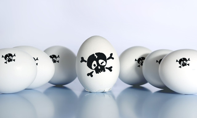 Γρίπη των πτηνών στην Ευρώπη: Τι ποσοστό θνησιμότητας έχει ο ιός H9N2