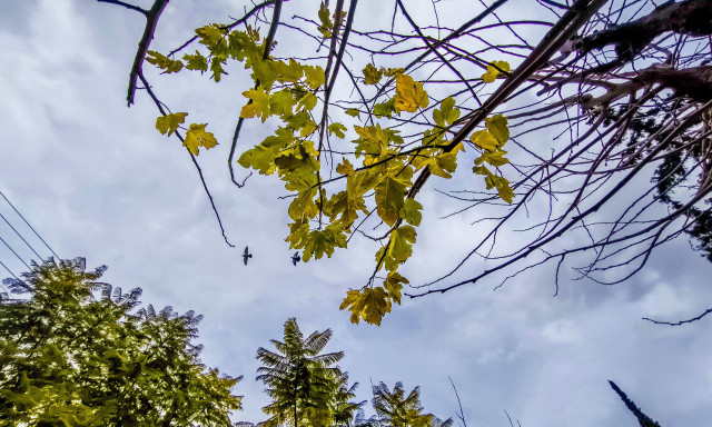 Ο καιρός το Σαββατοκύριακο: Άστατος με βροχές, καταιγίδες και άνοδο της θερμοκρασίας