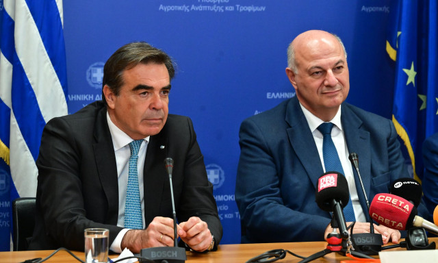 Σχοινάς: Τσιάρας - Κελλάς χειρίστηκαν την «τέλεια καταιγίδα» αποτελεσματικά και με εντιμότητα