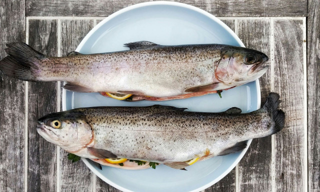 Κυριακή των Βαΐων: Γιατί τρώμε ψάρι αύριο - Τι γιορτάζουμε