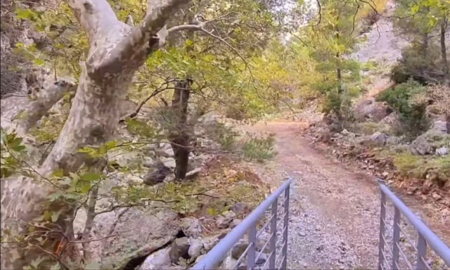 Εύβοια: Βρέθηκαν οι οκτώ περιπατητές που αγνοούνταν σε φαράγγι