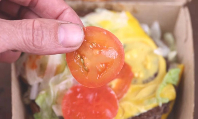Φύτεψε ντομάτα από χάμπουργκερ - Το αποτέλεσμα μετά από 124 ημέρες έγινε viral