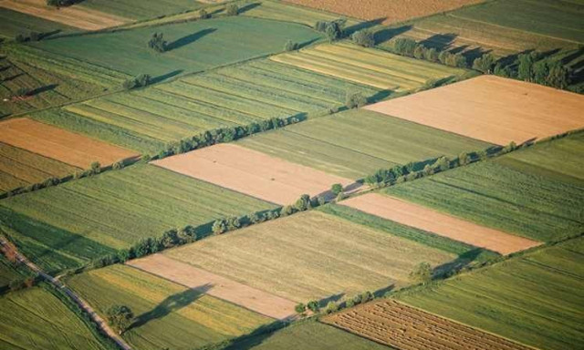 ΑΑΔΕ: Πληρωμή 202 εκατ. ευρώ για 294.000 αγροτεμάχια  κατόπιν ελέγχων