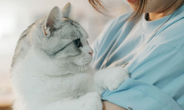 Ιταλία: Γίνεται η πρώτη χώρα που δίνει άδεια με αποδοχές για τη φροντίδα άρρωστων κατοικιδίων