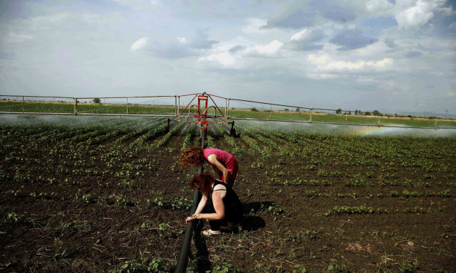 ΕΛΓΑ: Αποζημιώσεις ύψους 73 εκατ. ευρώ για ζημιές του 2025