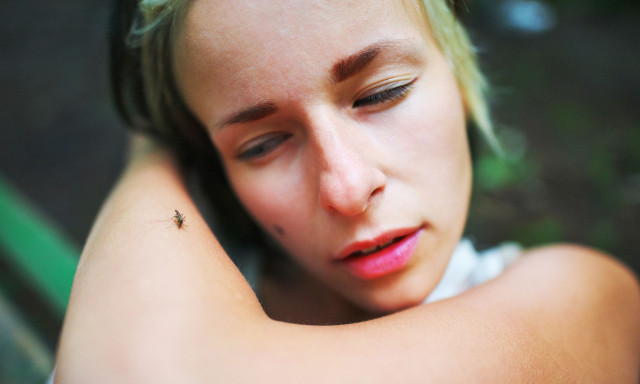 Ποιο είναι το πιο επώδυνο τσίμπημα στον κόσμο