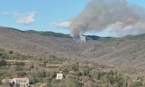 Λακωνία: Φωτιά σε δασική έκταση στις Καρυές