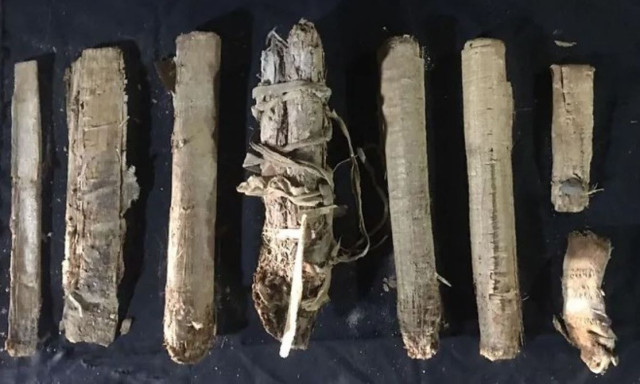 Αίγυπτος: Ανακαλύφθηκαν σε τάφο πάπυροι 3.000 ετών – Τα μηνύματα τους δεν έχουν αποκρυπτογραφηθεί