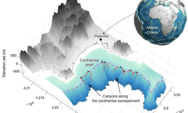 Κάτω από την επιφάνεια: Οι «αόρατοι γίγαντες» που αλλάζουν το θαλάσσιο τοπίο