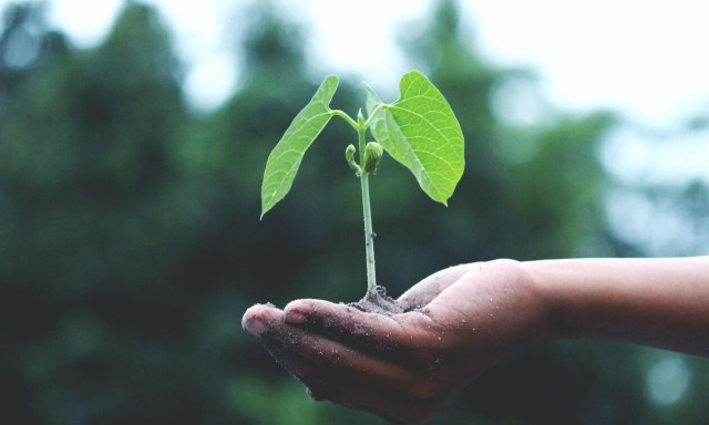 Οι επιπτώσεις της κλιματικής αλλαγής επηρεάζουν και τους απογόνους