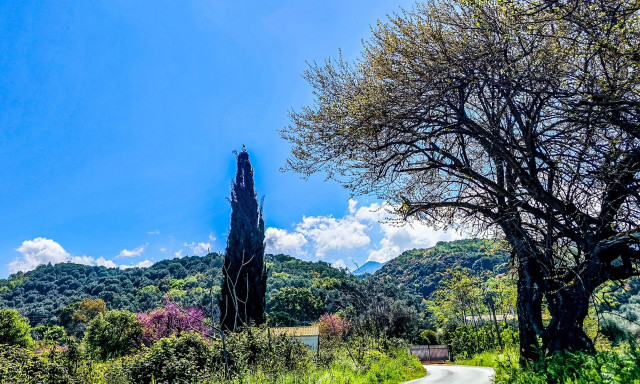 Καιρός - Οριστικό: Έτσι θα κάνουμε Ανάσταση, Πάσχα - Πότε επιστρέφει η κακοκαιρία