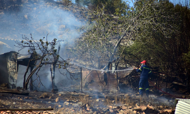 Σέρρες: Στις φλόγες στάνη - Απανθρακώθηκαν 10 ζώα