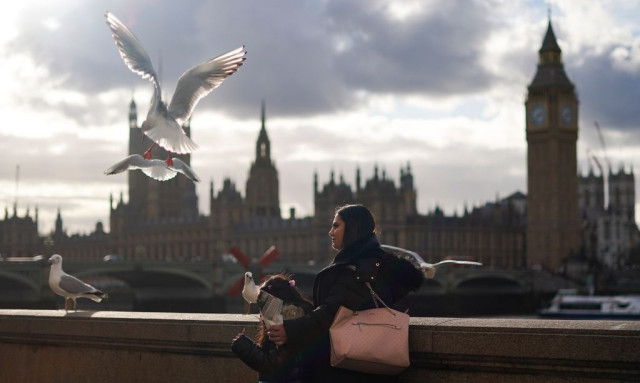 Εφιαλτικό: Οι γλάροι παραμονεύουν και εξαπολύουν συντονισμένες επιθέσεις εναντίον των ανθρώπων