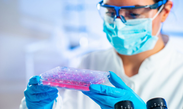 Μεταμόσχευση βλαστοκυττάρων «νίκησε» τον HIV: Τι μας έδειξε ο «ασθενής του Όσλο»