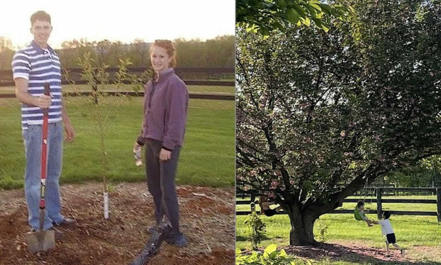 Το δέντρο που φύτεψαν ως έφηβοι «γέμισε» νέα κλαδιά όταν εκείνη έμεινε έγκυος