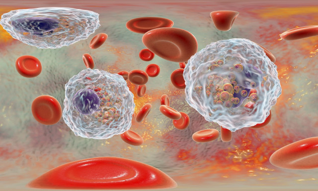 Μελέτη για τη σχέση των εμβολίων της COVID-19 και νόσων του αίματος - «Ξύπνησε» λανθάνουσα διαραχή;