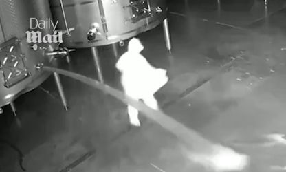 Ισπανία: Γυναίκα κατέστρεψε κρασιά αξίας 2,7 εκατομμυρίων δολαρίων, επειδή απολύθηκε