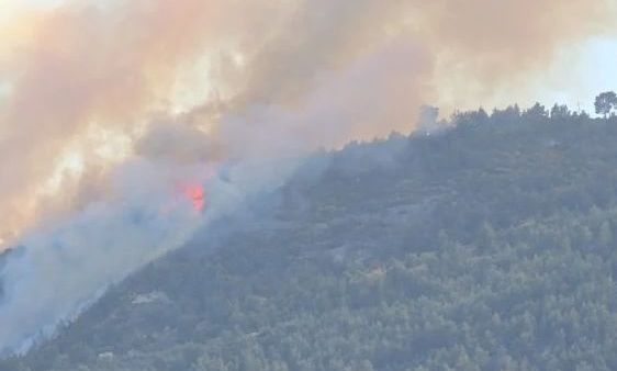 Συνελήφθη 51χρονος για τη φωτιά στην Άμπελο Αχαΐας