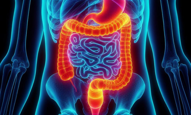 Αποφρακτικός ειλεός: Πώς προκαλείται, τα συμπτώματα και η θεραπεία