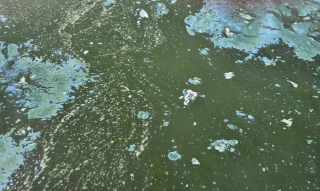 Κοζάνη: Γέμισε με λευκό αφρό η Λίμνη Πολυφύτου - Τι έδειξαν τα πρώτα αποτελέσματα δειγματοληψίας