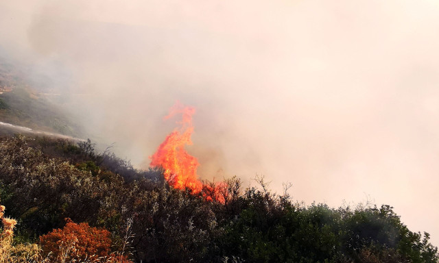 Μεγάλη φωτιά στην Αχαΐα