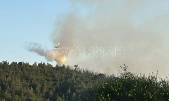 Σκιάθος: Φωτιά σε δασική έκταση