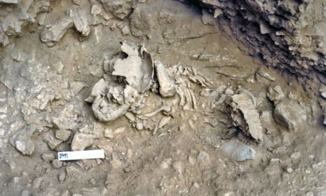 Ξαναγράφεται η Ιστορία: Οι επιστήμονες ανακάλυψαν βρέφος Νεάντερταλ 50.000 ετών σε σπήλαιο