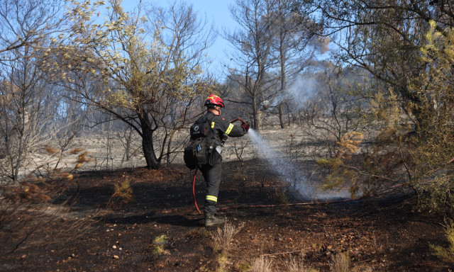 Φωτιά: 52 δασικές πυρκαγιές μέσα στο Σαββατοκύριακο – Πού οφείλονται οι περισσότερες