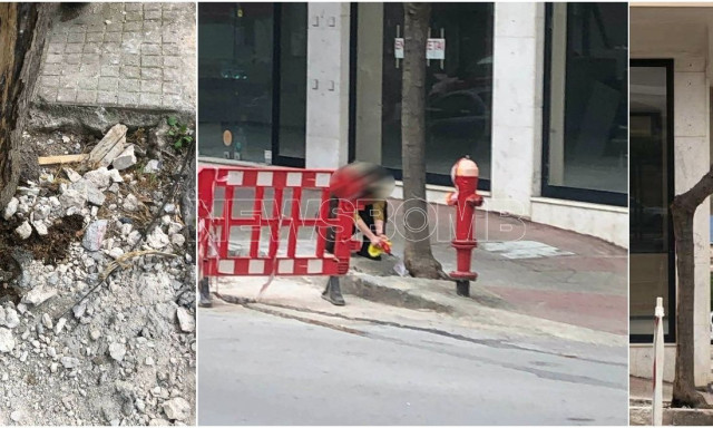 Λαμία: Αναζητούν τη γυναίκα που έριξε καυστικό υγρό για να ξεράνει δέντρο - Ήταν μουριά;