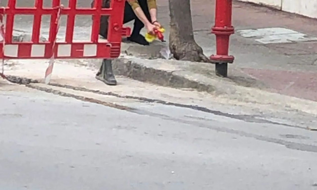 Λαμία: Γυναίκα καταγράφηκε να ρίχνει άκουαφορτε σε δέντρα δρόμου με στόχο την καταστροφή τους