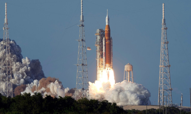 Ένα δέντρο μεγαλώνει στο Τέξας χάρη σε έναν σπόρο που ταξίδεψε πέρα από τη Σελήνη