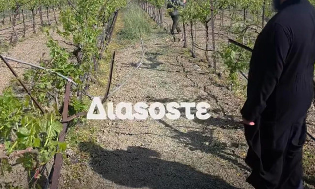 Τραγωδία στη Μεσαρά: Πώς πέθανε ο 58χρονος σε αμπέλι με το τρακτέρ του - Η συγκλονιστική περιγραφή