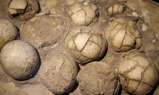 Οι επιστήμονες ανακάλυψαν μια τεράστια φωλιά δεινοσαύρων στην Ινδία με 256 αυγά