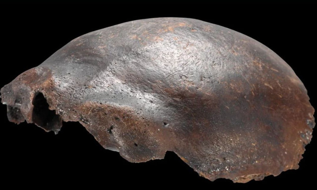 Αρχαίο κρανίο 7.500 ετών που είχε χαρακτηριστεί ως πιθανό υβρίδιο Νεάντερταλ επαναξιολογείται
