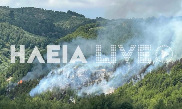 Μεγάλη φωτιά στο Λέπρεο Ηλείας - Επιχειρεί και αεροσκάφος